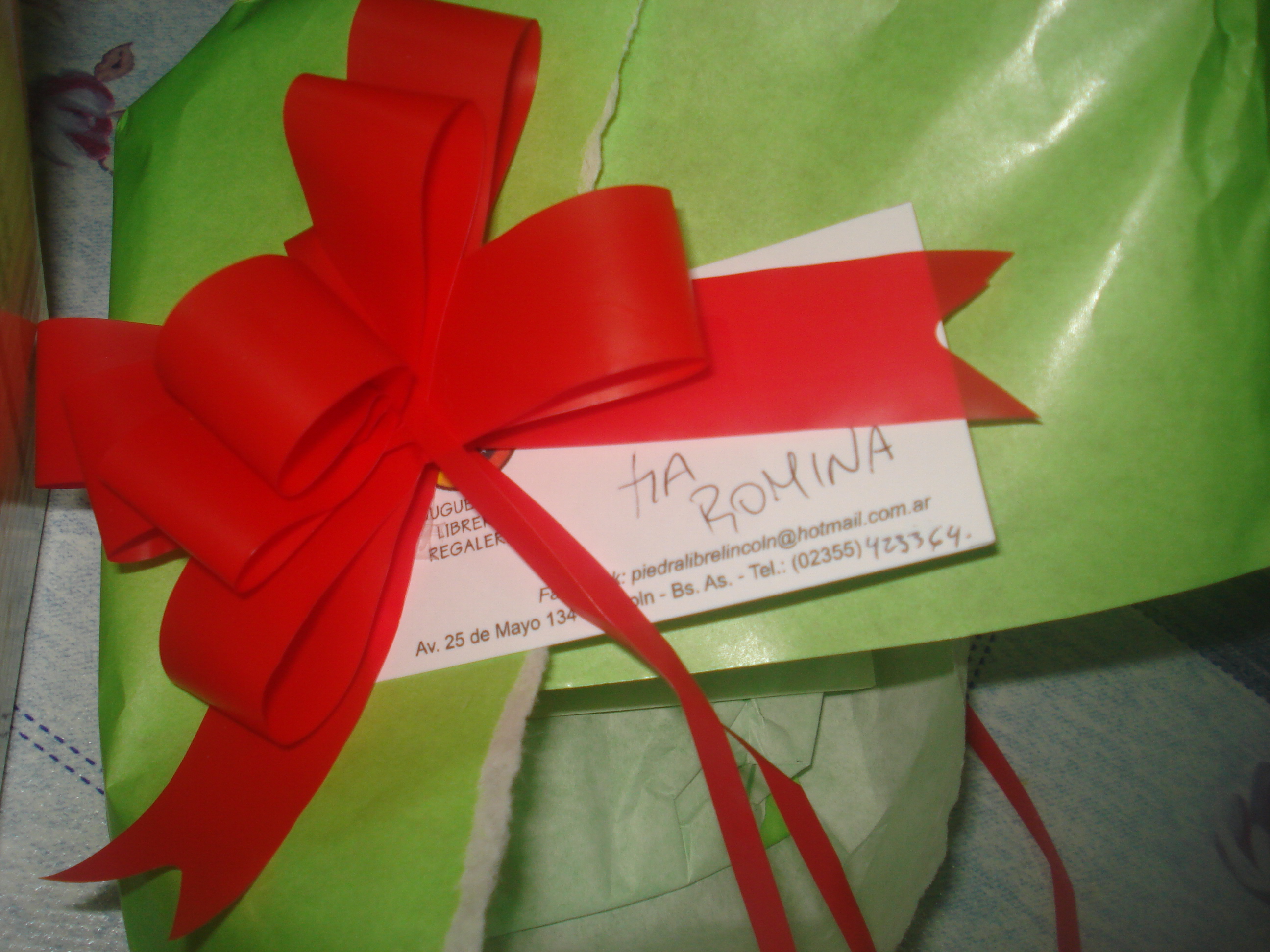 fotos/2012-12-24 - Navidad y pileta/DSC05100.JPG